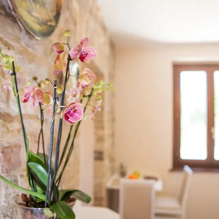 Bed and breakfast La Dimora Di Francesco Asís