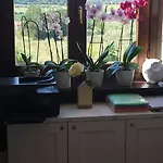 La Dimora Di Francesco Bed & Breakfast Assisi