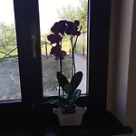 La Dimora Di Francesco