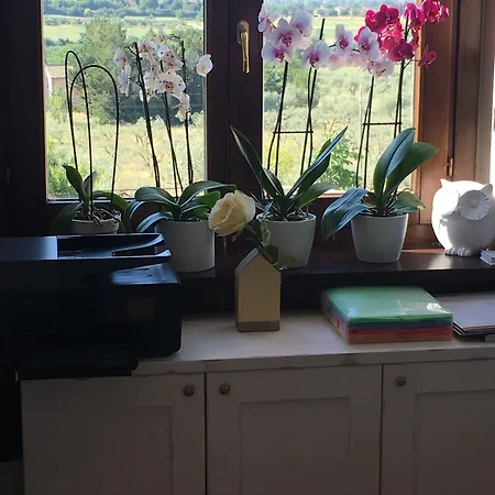 La Dimora Di Francesco Bed & Breakfast Assisi