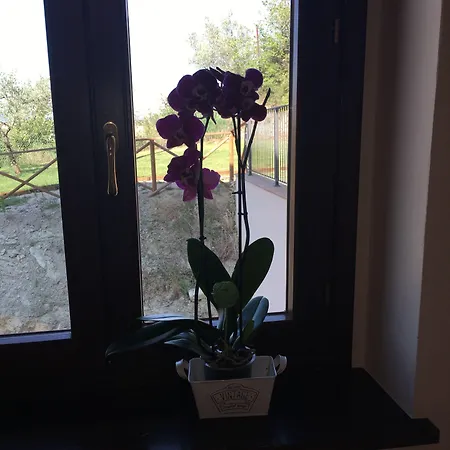 La Dimora Di Francesco