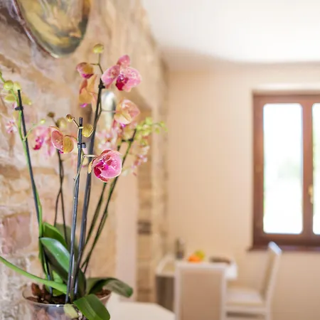 La Dimora Di Francesco Bed & Breakfast