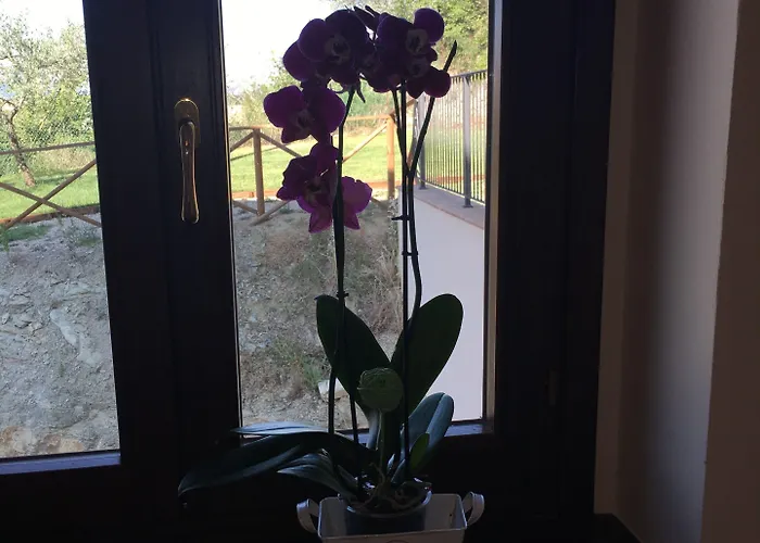 La Dimora Di Francesco